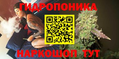 индика Гудермес