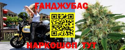 индика Гудермес