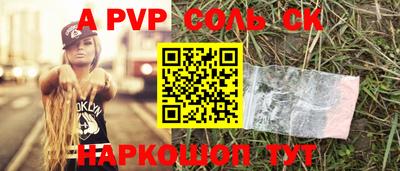 индика Гудермес