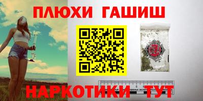 индика Гудермес
